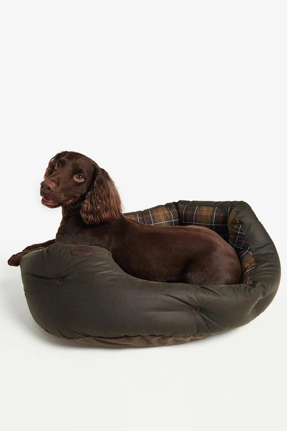 Barbour Cama Perro Wax/Cotton 30